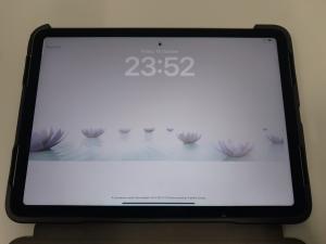 CS780/2024 IPAD